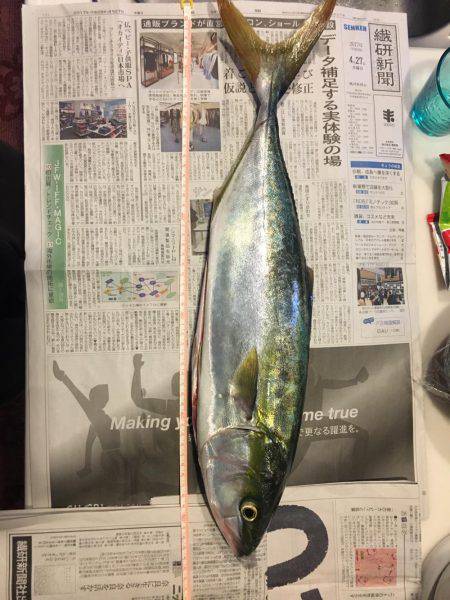 狙いどうり青物！！