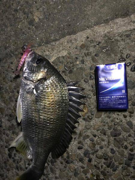 ルワーとエサ釣り