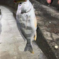 トップチニング