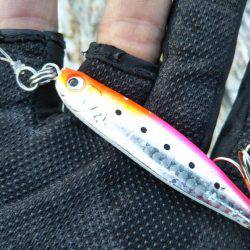 ライトショアジギング