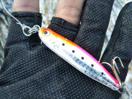 ライトショアジギング