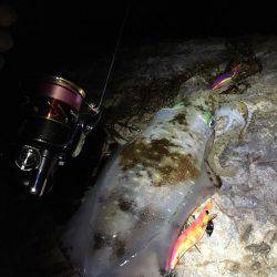 初春イカ♪初キロUP