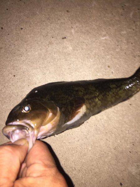 ランガンで攻め続けた結果…