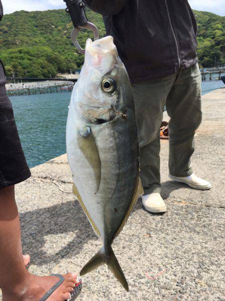 最近の釣果ーーー！