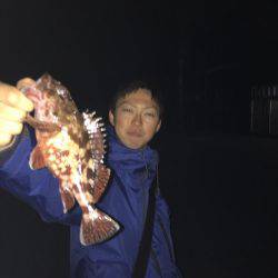 泉南ライトゲーム