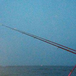 再度、煙樹ヶ浜釣行のつもりが…