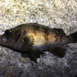 未知のポイントへ…