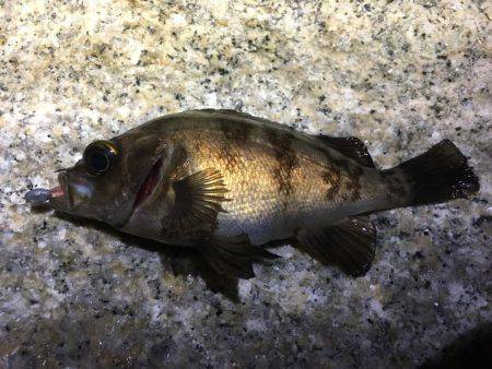 未知のポイントへ…