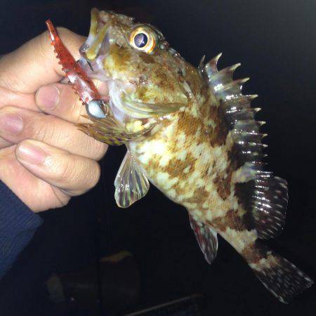 2時間だけ！！ガシメバリング！！