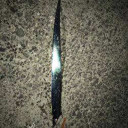 夕マヅメタチウオ釣行①