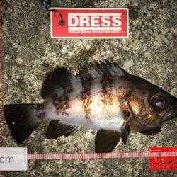 １つのプラグでしか反応ない…