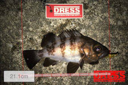 １つのプラグでしか反応ない…