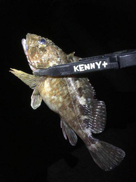 外道祭り開催(笑)