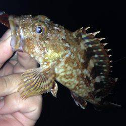 今日は素直にガシリング!!