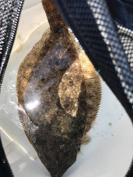 初めての、、、