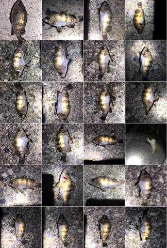 爆釣ポイント探し！