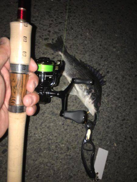 いきなり鱗つけ成功！