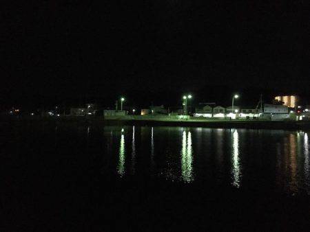 メバリングのち初海上釣り堀