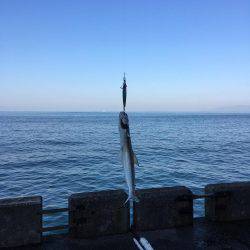 朝と夕でエソツー