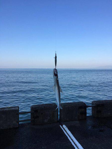 朝と夕でエソツー