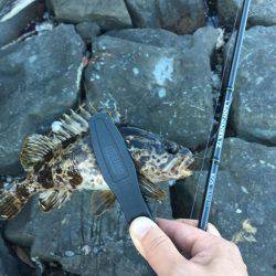 ロックフィッシュ