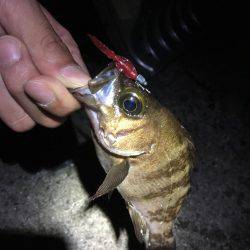 自作フロート炸裂！