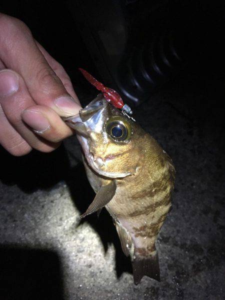 自作フロート炸裂！