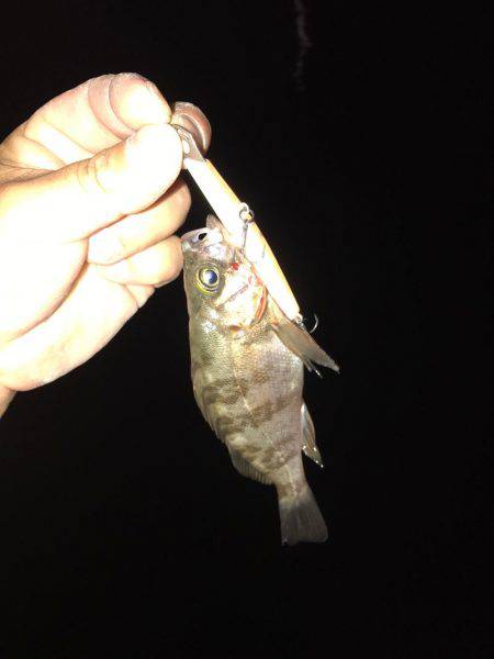 仕事終わりに。