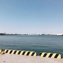 リベンジサビキ