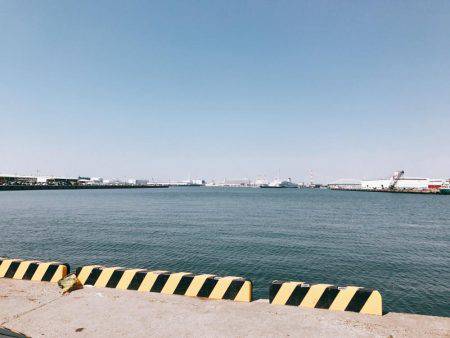 リベンジサビキ