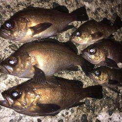 深夜のメバリング