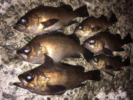 深夜のメバリング