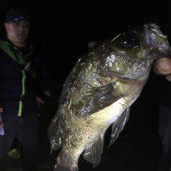 今期のメバリングは終了します(^ ^)