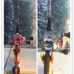 五目からのムギイカ