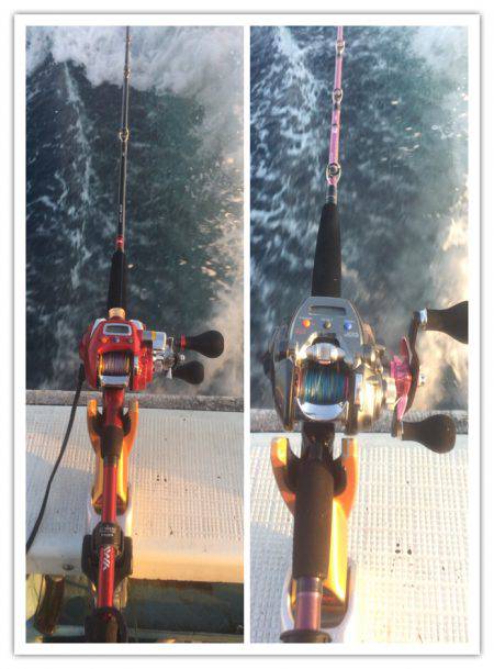 五目からのムギイカ