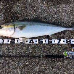 自己ベスト更新