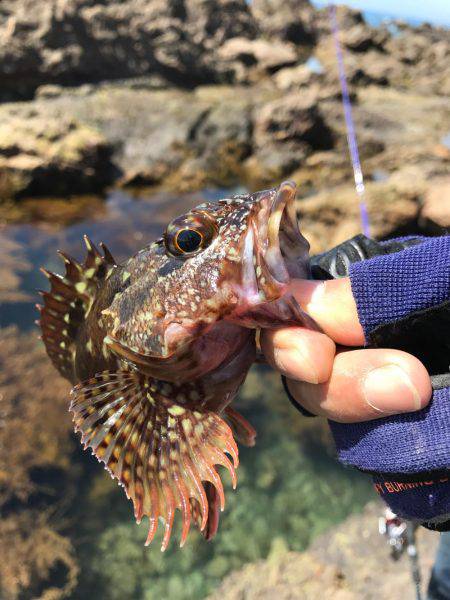 期待を裏切らないあの子