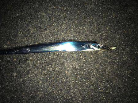 時合いは一瞬！