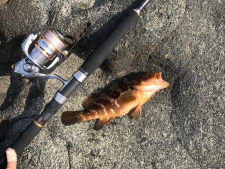 越前地磯でショアジギング&キャステ…