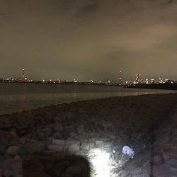 ぐんぐん走るあいつ