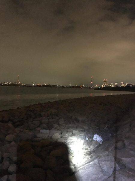 ぐんぐん走るあいつ