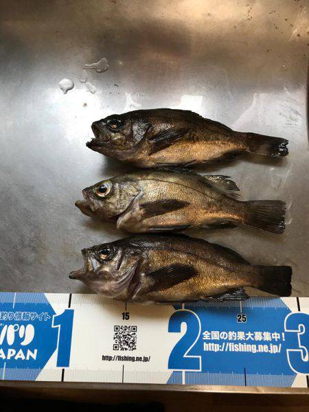 メバリングナイトゲーム