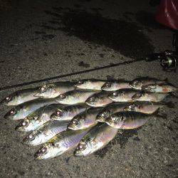 テクニカルアジング