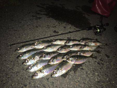 テクニカルアジング