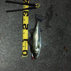 四日市市港にて