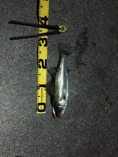 四日市市港にて