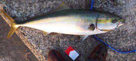 一文字ジギング