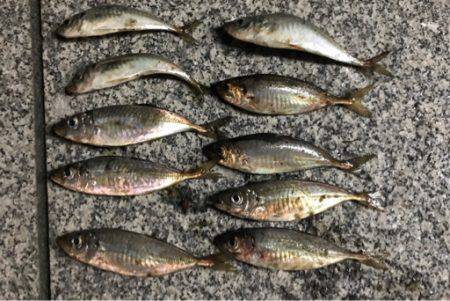 アタリ少な目で苦戦