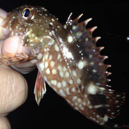 ナイトゲームからのデイゲーム！！