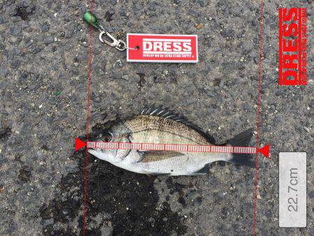 風強すぎーーー